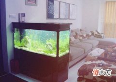 家中鱼缸有哪些摆放禁忌