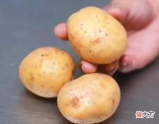 土豆的正确保存方法 土豆的保鲜储存方法