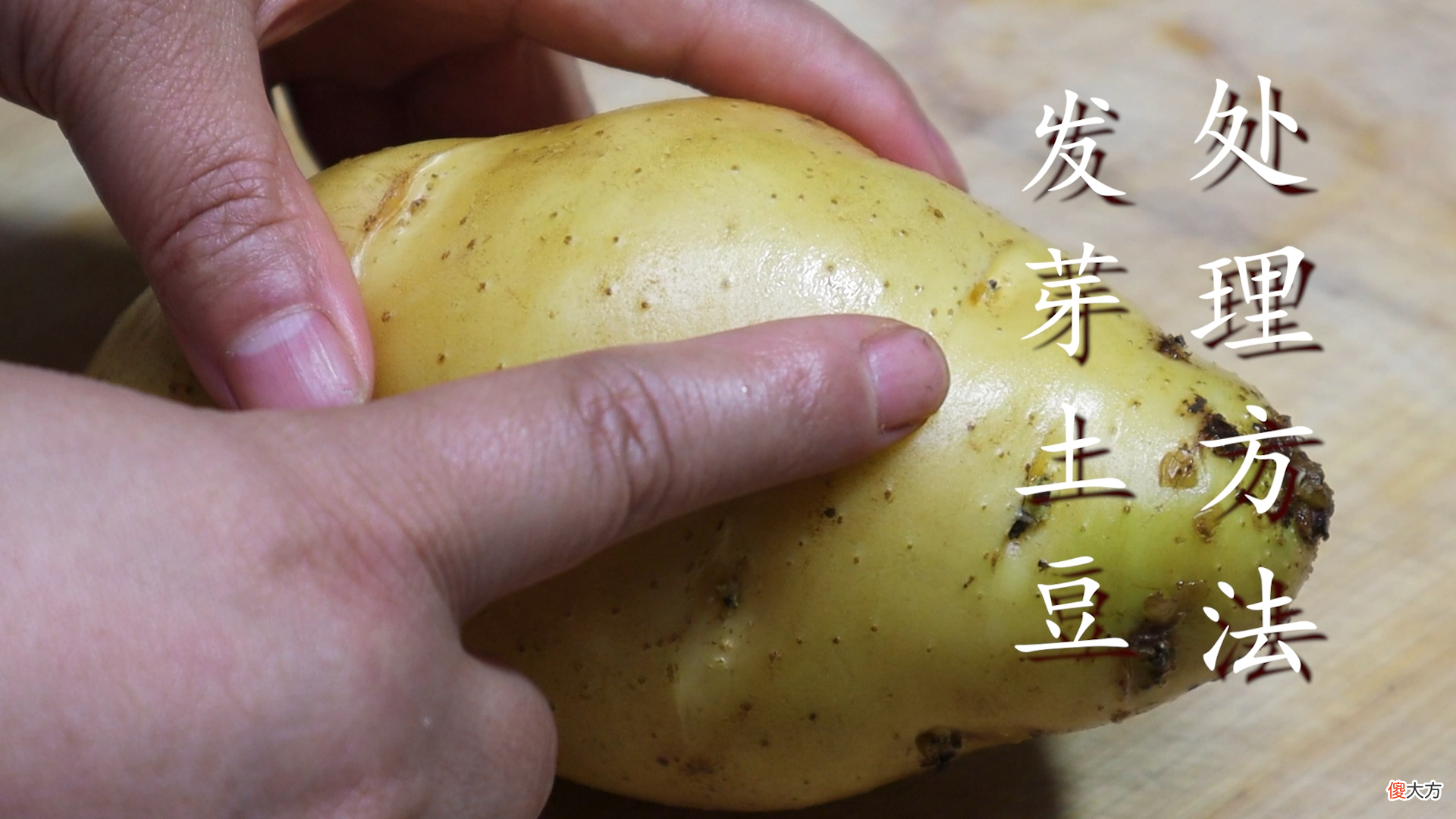 土豆发芽到底能不能吃 土豆发芽到底还能不能吃