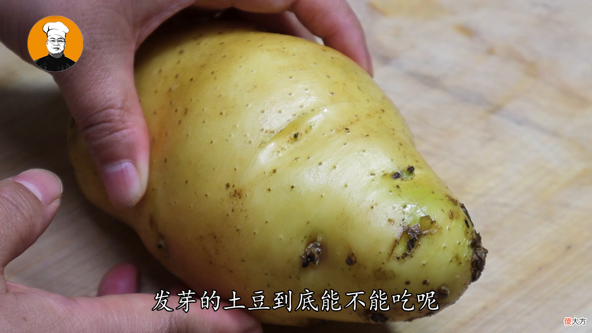 土豆发芽到底能不能吃 土豆发芽到底还能不能吃