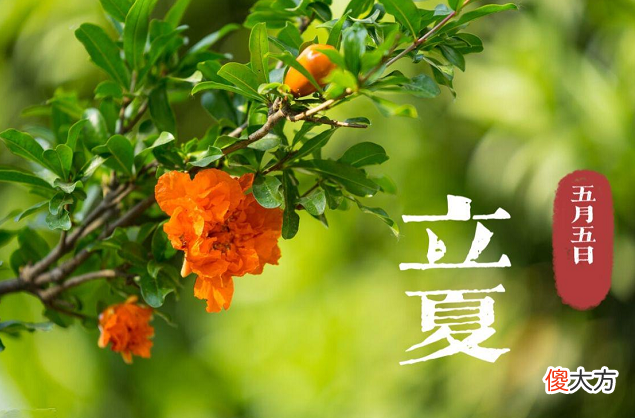 夏季已至，少给孩子吃3物，比塑料袋还伤身，当心娃停止发育