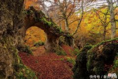 【十二星座】2022年，鸿运当头，财源广阔，事业顺风顺水，喜讯络绎不绝的生肖