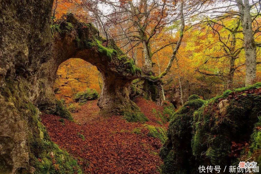 【十二星座】2022年，鸿运当头，财源广阔，事业顺风顺水，喜讯络绎不绝的生肖