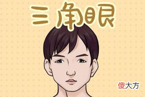 三角眼的男人面相大全