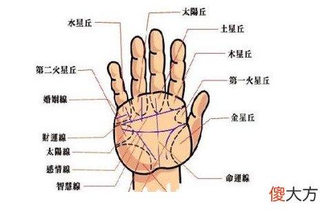 男人手相有这几个纹路就是富贵命