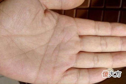 男人这些掌纹比较好