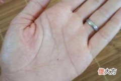川字掌女人命运如何