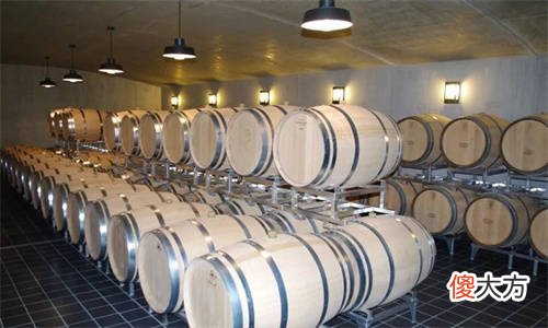 卡莱斯城堡干红葡萄酒 乐柏纳城堡干红葡萄酒