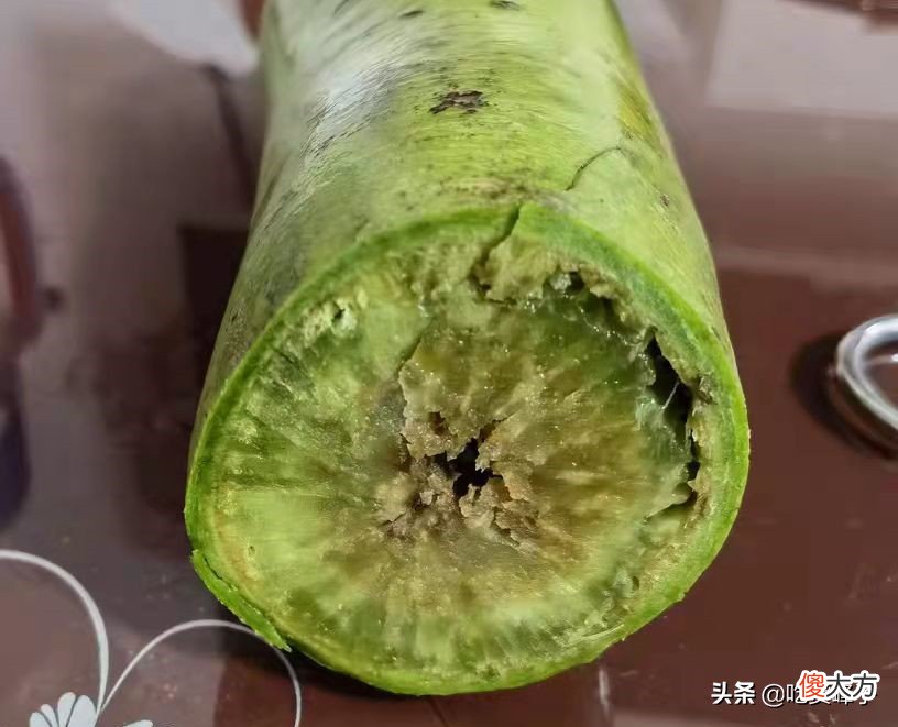 萝卜糠了还能不能吃 大萝卜糠了还能吃吗