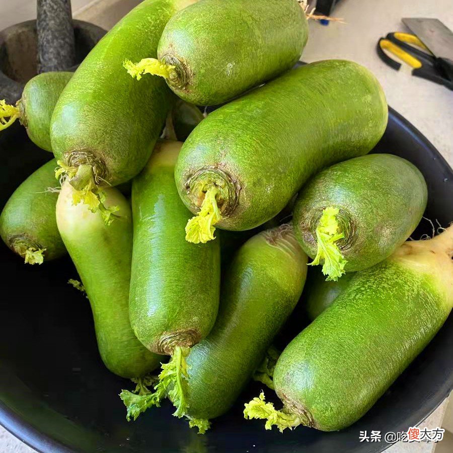 萝卜糠了还能不能吃 大萝卜糠了还能吃吗