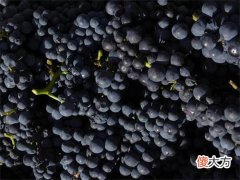 想做红酒生意怎么起步 新手怎么去销售自己的红酒