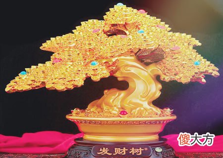 招财树摆放风水宜忌