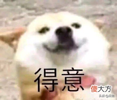 苹果牌抛光布 苹果抛光布
