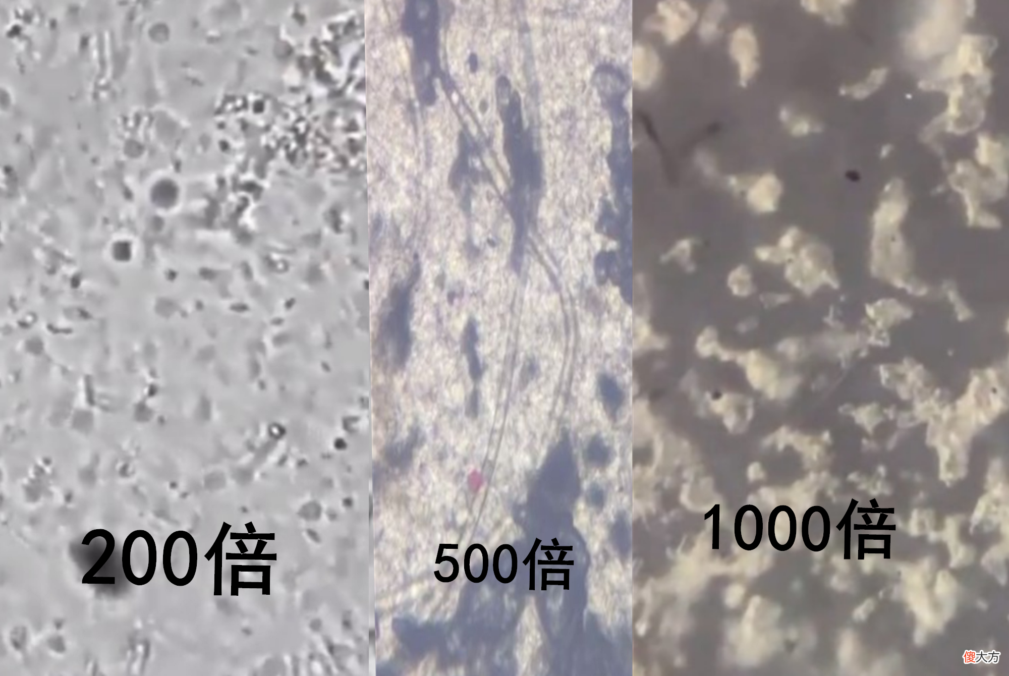 宝宝肚脐眼的“泥”又黑又脏，宝妈千万别乱扣，五步教你科学清理