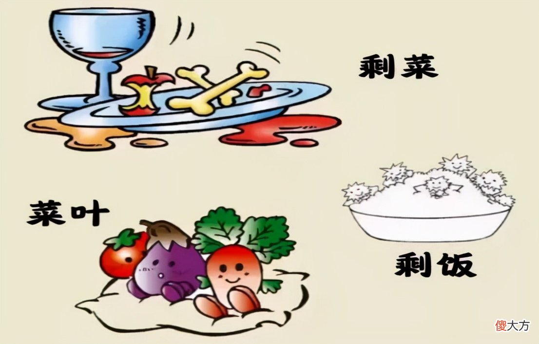 餐厨垃圾知多少 餐厨垃圾每人每天产生多少?