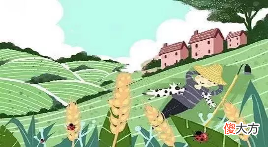 餐厨垃圾知多少 餐厨垃圾每人每天产生多少?
