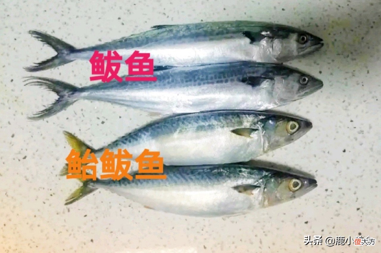 好吃不贵还营养 好吃不贵、营养实惠