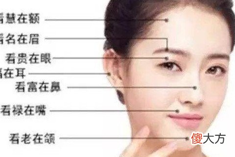 女人旺夫鼻子有何特点