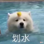 这些无线耳机 无线耳机