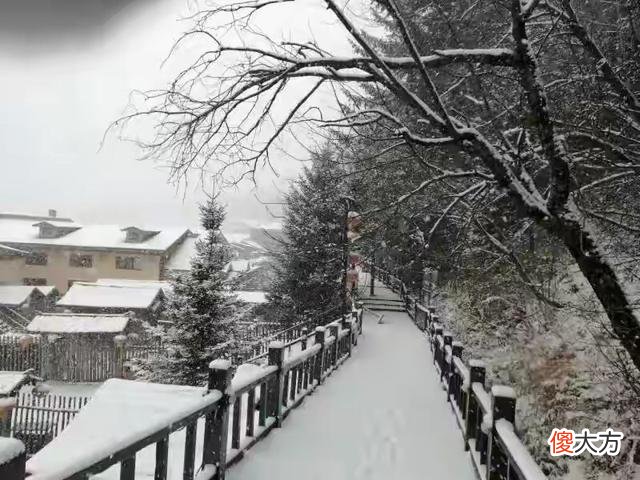 雪乡进入了童话世界 雪乡冰雪奇缘童话世界
