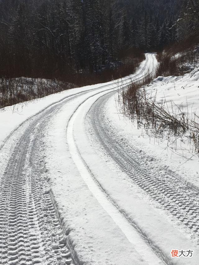 雪乡进入了童话世界 雪乡冰雪奇缘童话世界