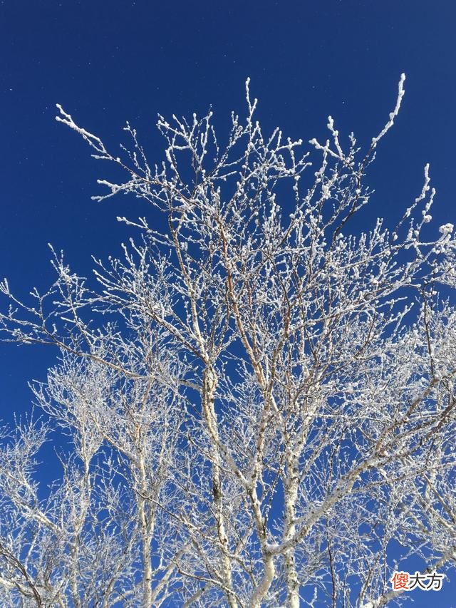 雪乡进入了童话世界 雪乡冰雪奇缘童话世界
