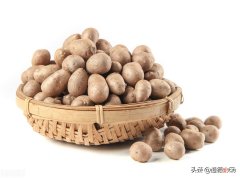山药上结的小豆豆可以吃吗 山药结的豆子能吃吗
