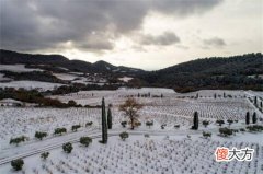 葡萄酒批发、零售利润一般多少 葡萄酒的利润一般是多少