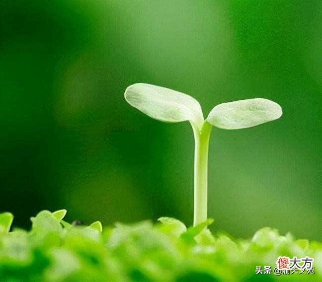 哪里才有清新空气 那里空气很清新