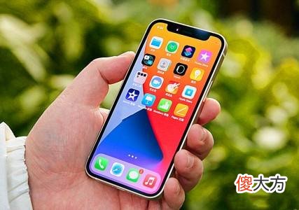 这才是真正的苹果 这才是真正的苹果手机