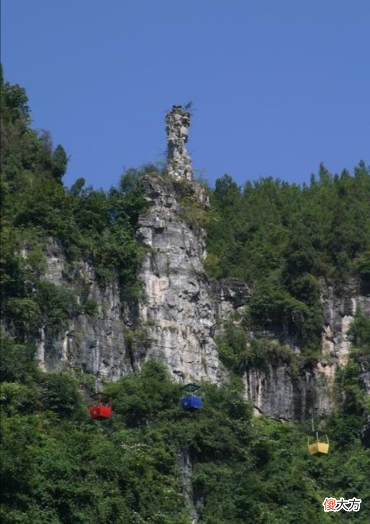 是世界上最长的国内河流 世界上流域最长的河流