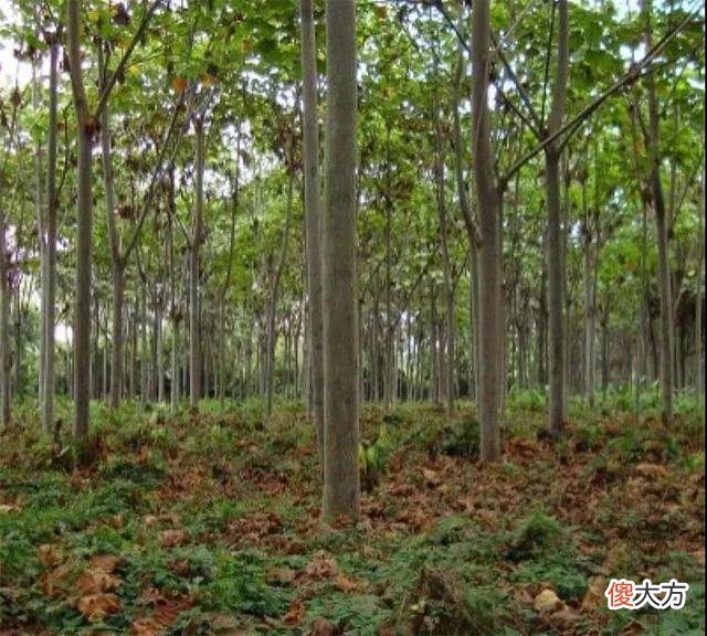 你知道多少个 你知道多少个民族