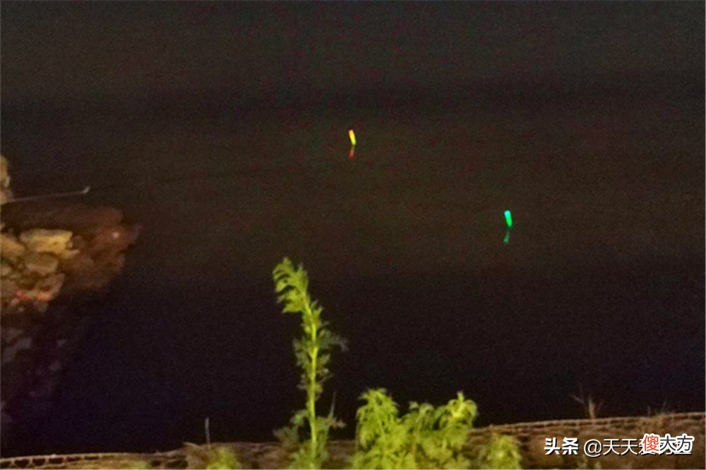 最好钓的莫过于鲶鱼和黄颡鱼 鲶鱼黄骨鱼怎么垂钓
