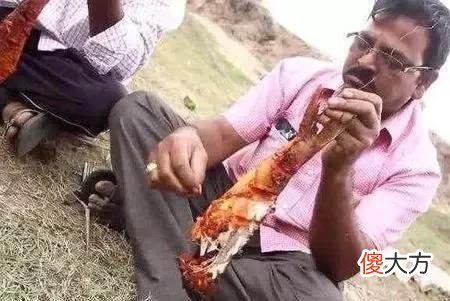 鲶鱼泛滥却没人吃 鲶鱼很少人吃