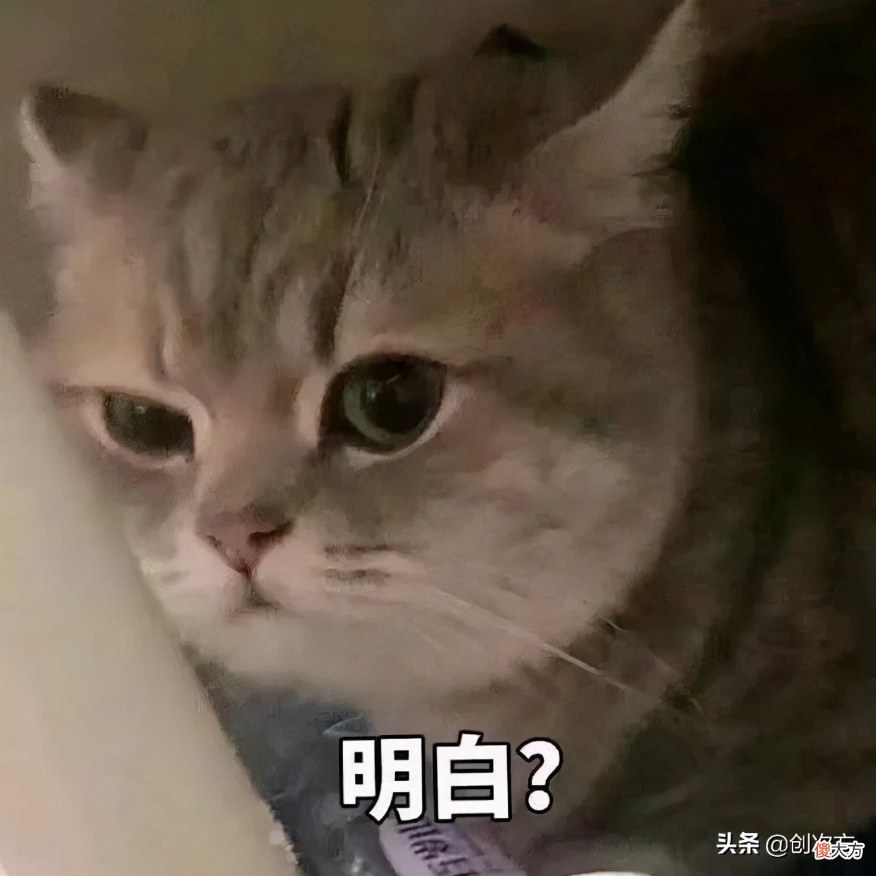 验证生活的黄金比例 黄金比例生活中