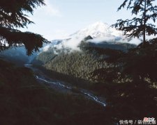 【星座控】5月，喜鹊齐报喜，事业逢凶化吉，财运低开高走，一本万利的生肖