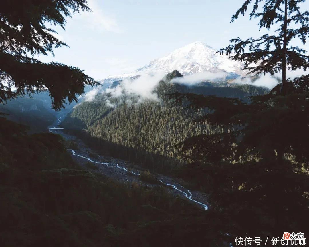 【星座控】5月，喜鹊齐报喜，事业逢凶化吉，财运低开高走，一本万利的生肖