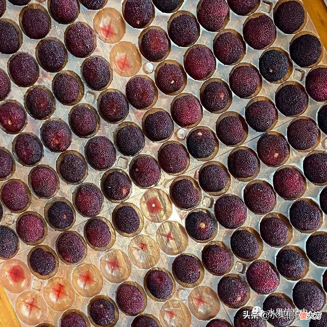 中国的杨梅到底哪里最好吃 最好吃的杨梅是哪里