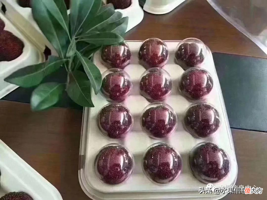 中国的杨梅到底哪里最好吃 最好吃的杨梅是哪里