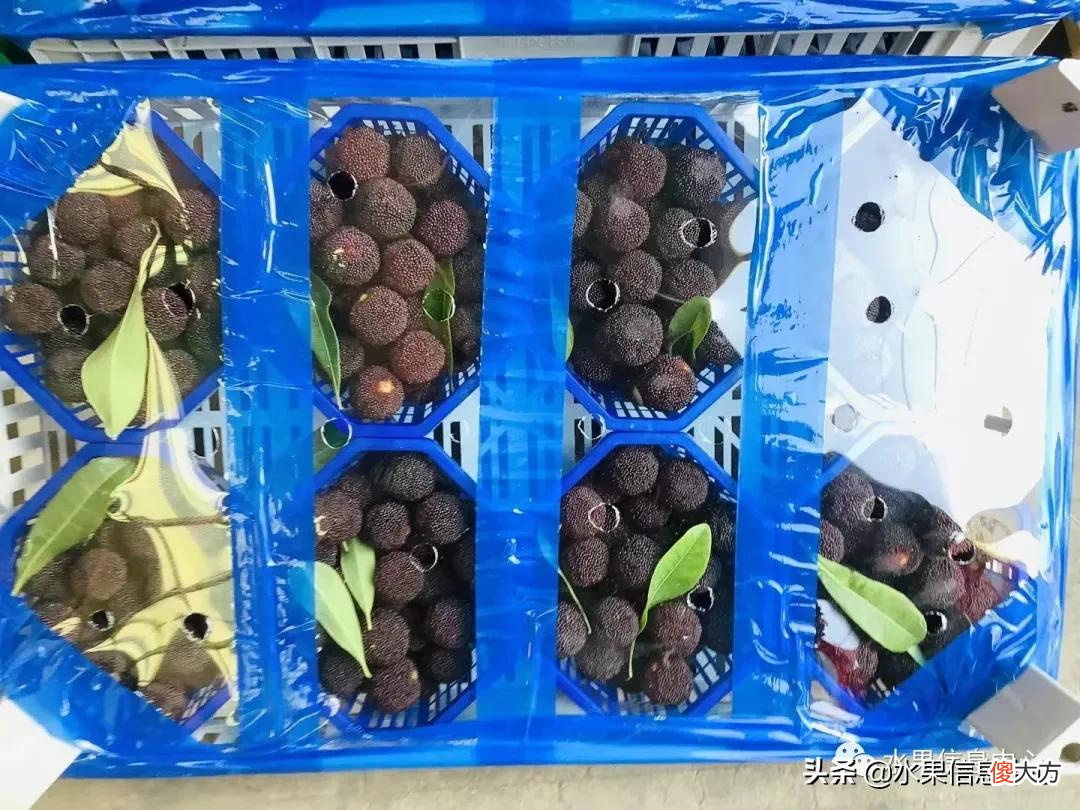 中国的杨梅到底哪里最好吃 最好吃的杨梅是哪里