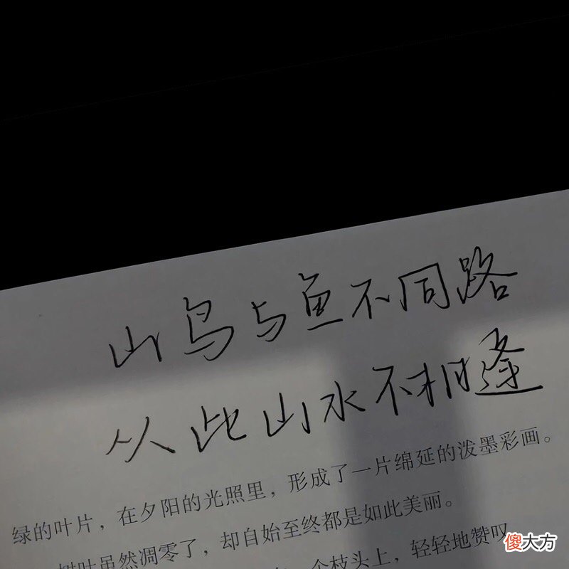 我偏爱你与人间烟火 我偏爱你与人间烟火的前一句