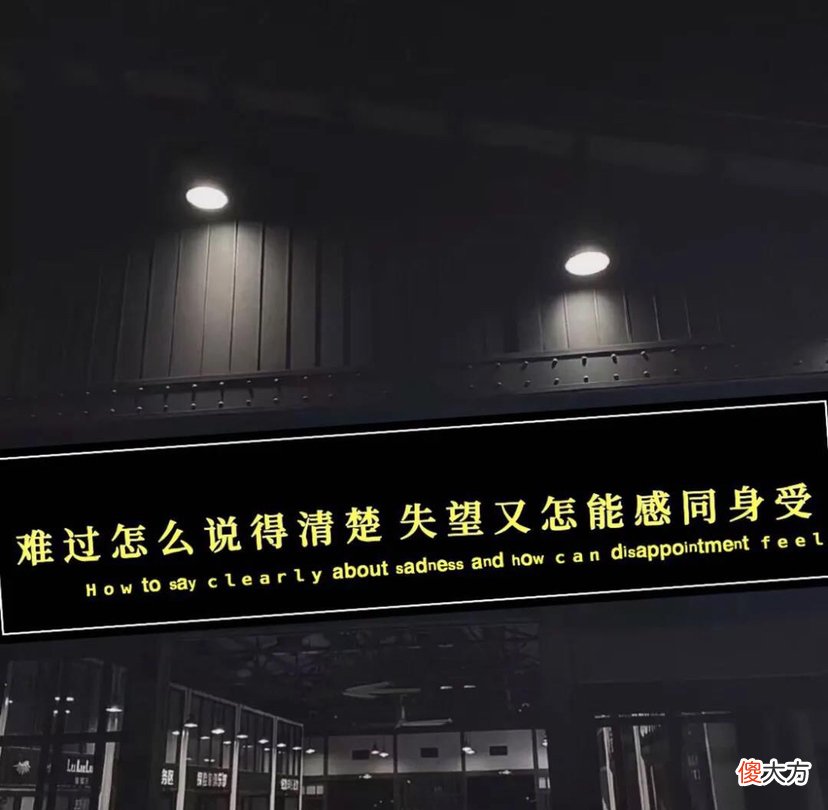 我偏爱你与人间烟火 我偏爱你与人间烟火的前一句