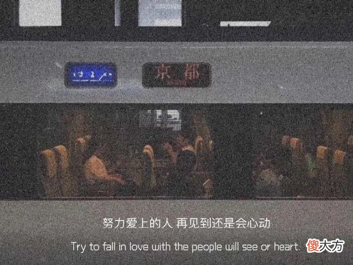 我偏爱你与人间烟火 我偏爱你与人间烟火的前一句