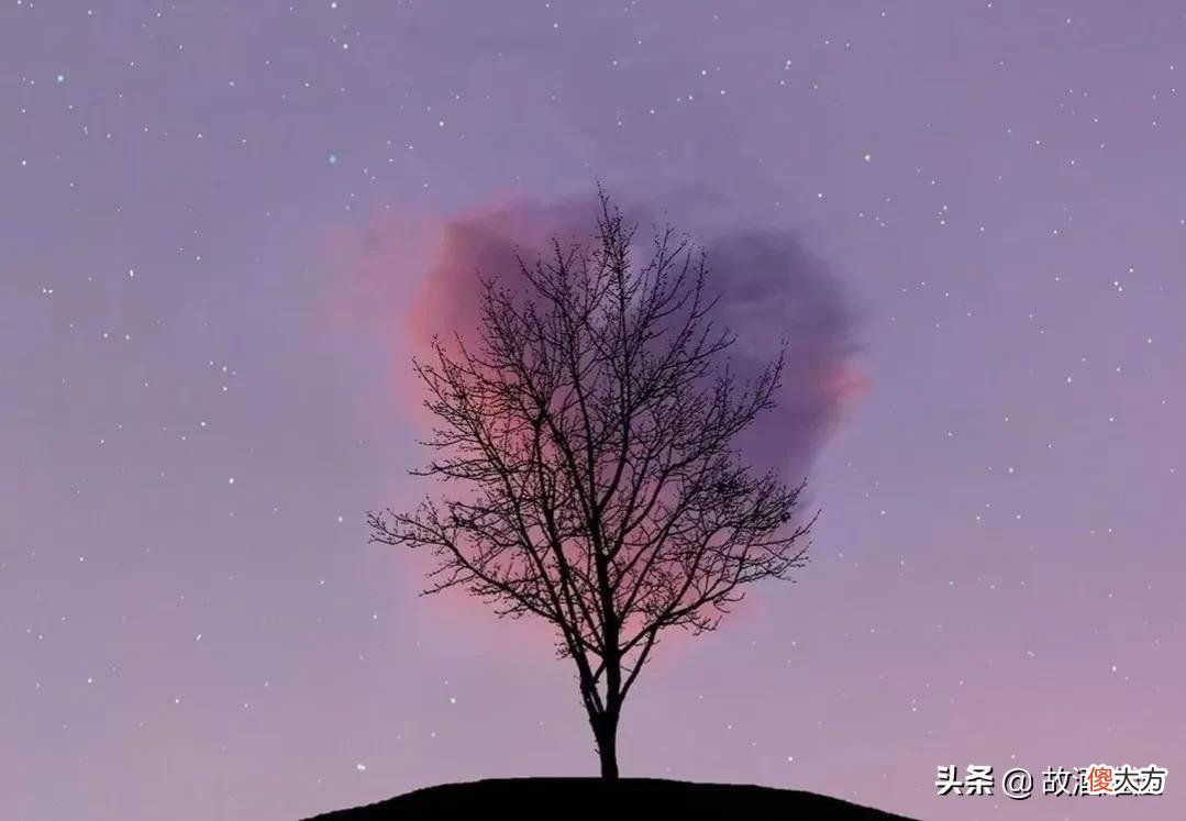 穿越时光的信 穿越时光的信作文
