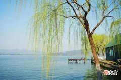 手机浏览器暴露一个人的喜好和层次