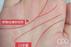 川字掌的女人财运好吗