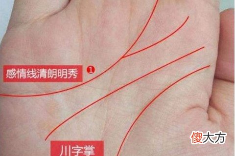 川字掌的女人财运好吗