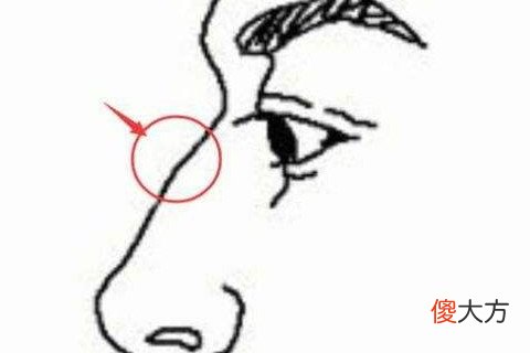 鼻梁起节女人面相如何
