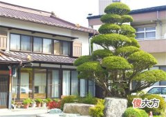 屋宅风水十大格局禁忌