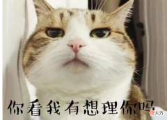 心理学：表情流行的底层原因是什么？